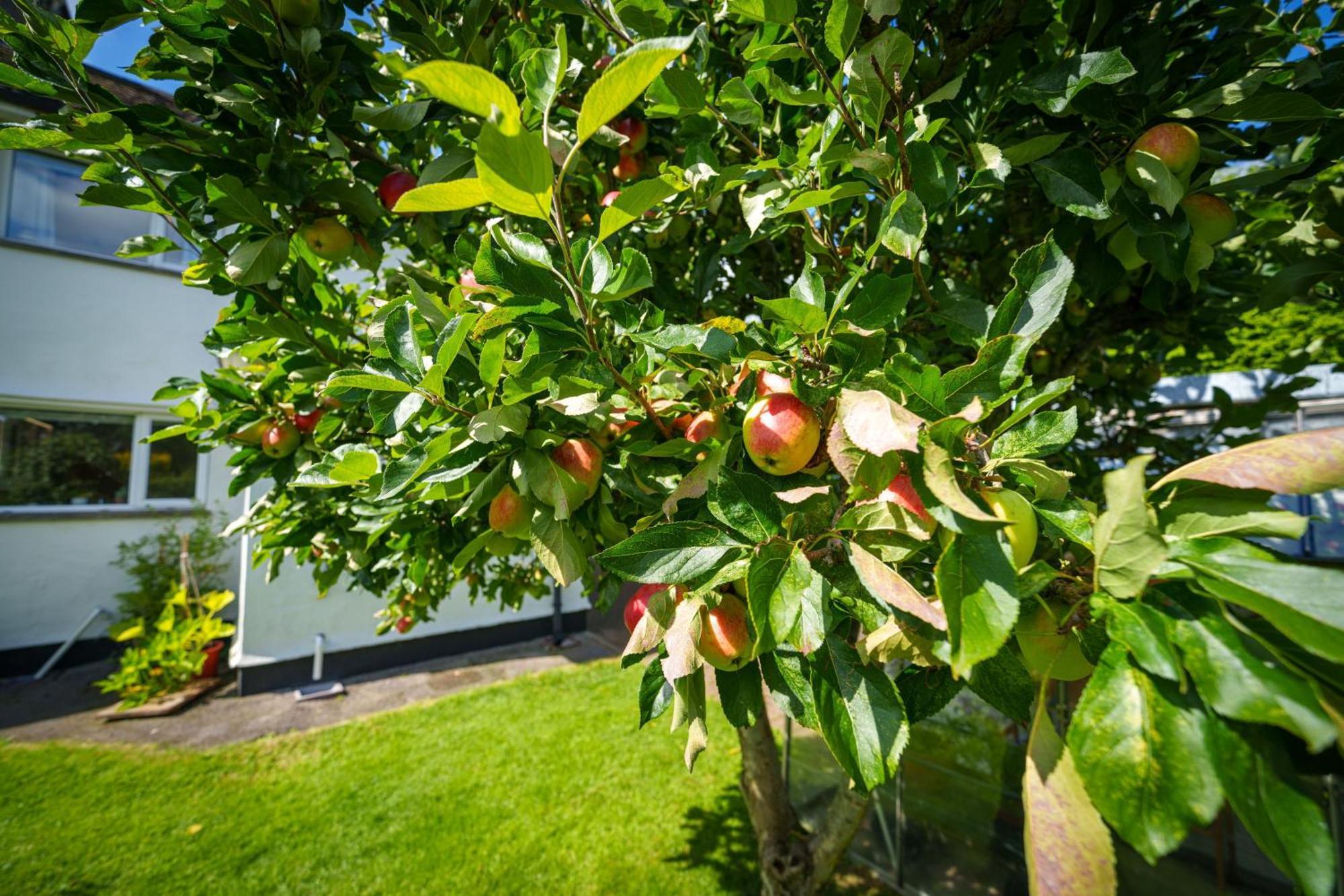 Apple Byrd - Short Stroll Into Kendal Town Centre Villa Ngoại thất bức ảnh